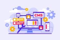 Top CMS Web Development Services in India & UK image 3